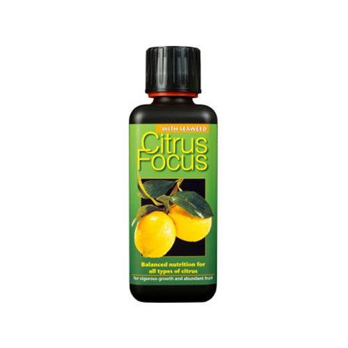 Citrus Focus 500 ml