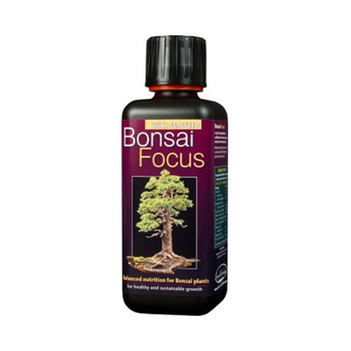 Bonsai Focus 1L