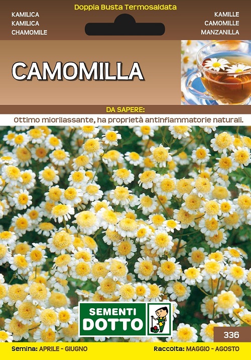 Camomilla