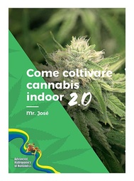 Come Coltivare Cannabis Indoor 2.0