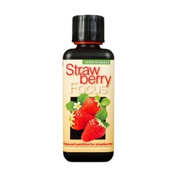 Strawberry Focus 500 ml