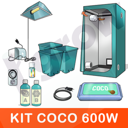 KiT INDOOR COCO 600W - 12 VASI